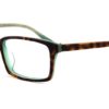 Square Tortoise Glasses 310521 6