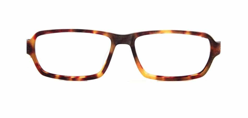 Tortoise Rectangle Glasses 310524 4