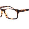 Square Tortorise Glasses 31052418 6