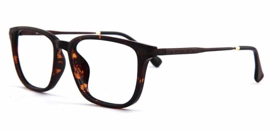 Tortoise Rectangle Glasses 130726 2