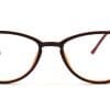 Brown Cat Eye Glasses 2439B21 8