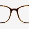 Nola Square Tortoise Glasses 7